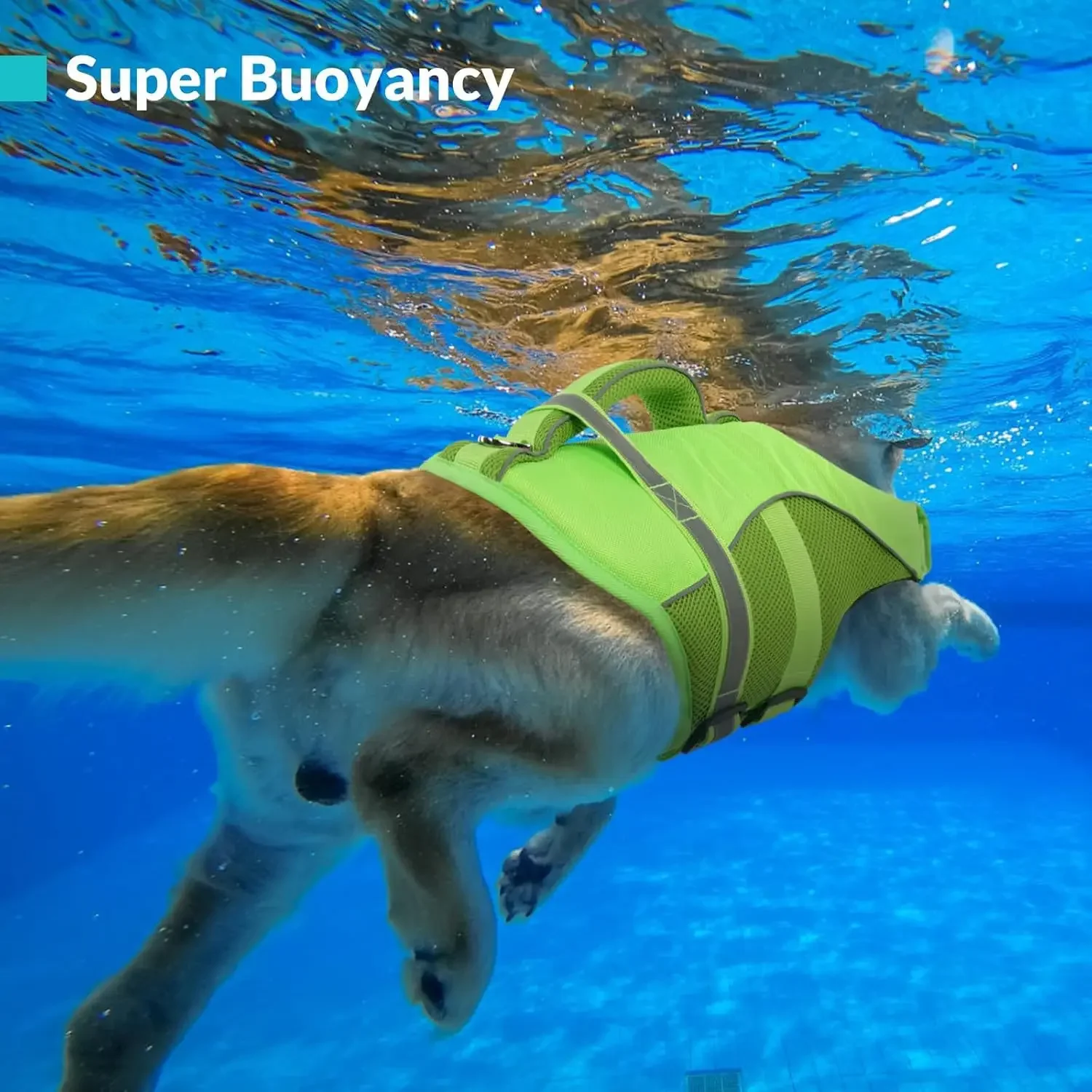 Dog Life Jacket Vest Buoyancy Handle - Chaleco Salvavidas Duradero de Malla para