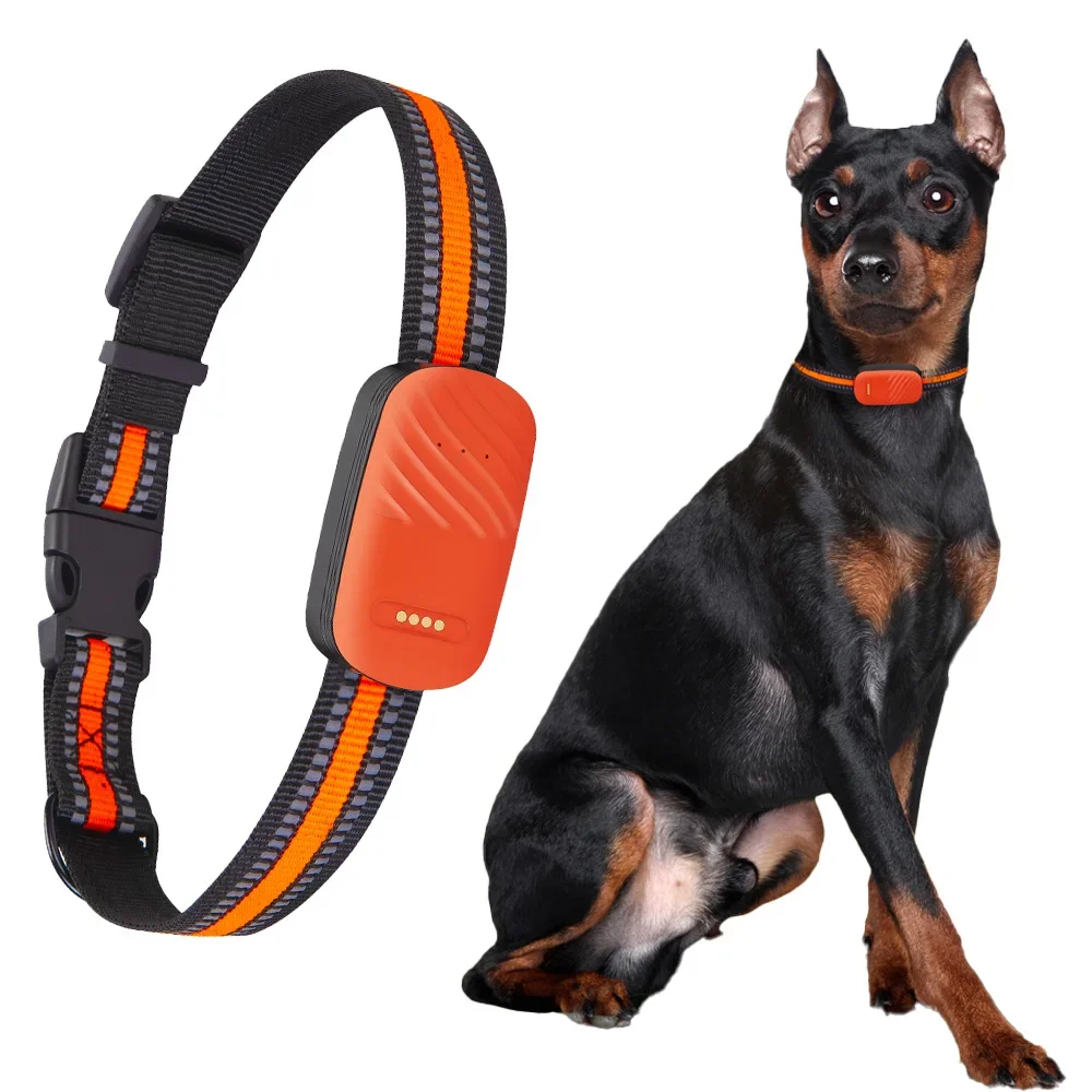 Dog Gps Tracker Collar 4G Waterproof - Collar GPS 4G para Mascotas, Rastreador