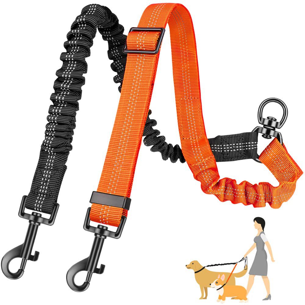 Bungee Dog Leash Shock Absorbing - Correa doble para perro de 16