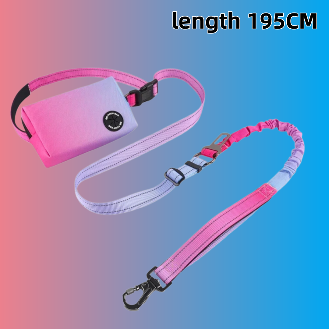 Bungee Dog Leash Shock Absorbing - Correa para Perro Manos Libres con