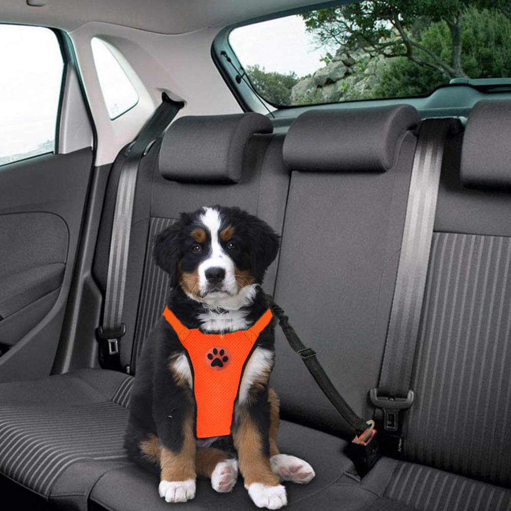Dog Seat Belt Harness Safety Tether - Conjunto de cinturón de seguridad para