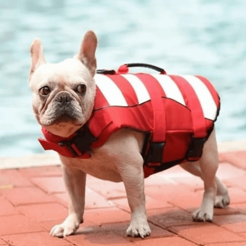 Chaleco Salvavidas Reflectante - Dog Life Jacket Vest Buoyancy Handle reseña y precio