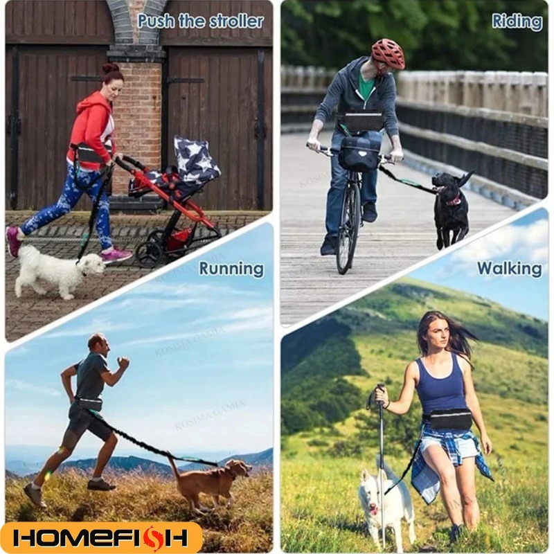 Correa Multifuncional para Per - Hands Free Dog Running Leash Waist Belt reseña y precio