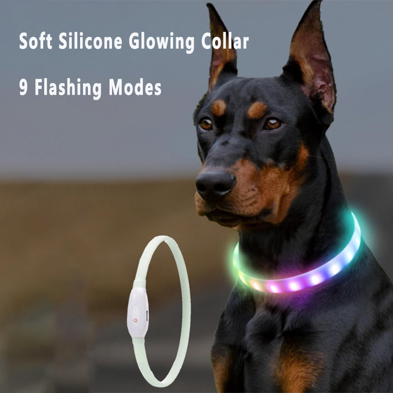 Collar brillante recargable po - Led Dog Collar Glowing Rechargeable Usb reseña y precio