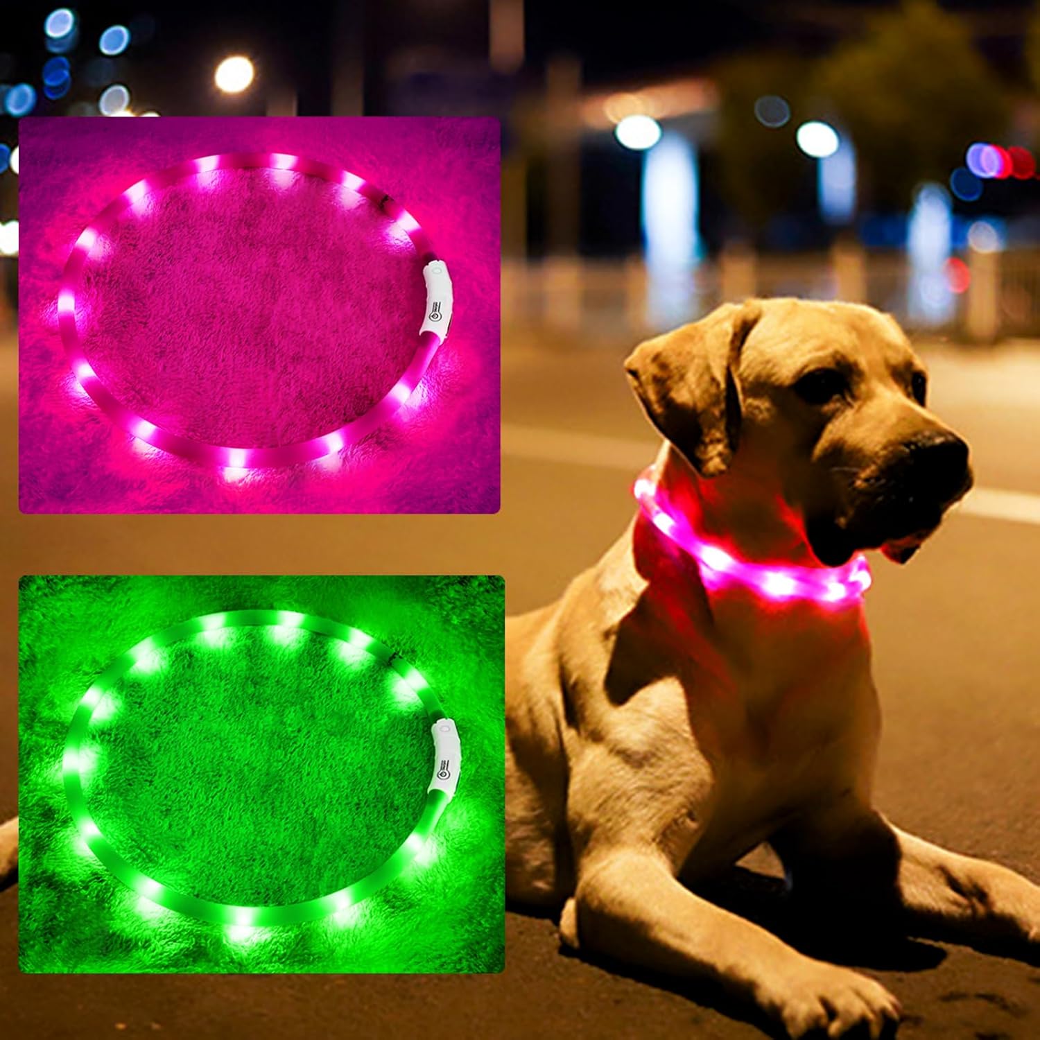 Collar LED de silicona para pe - Led Dog Collar Glowing Rechargeable Usb reseña y precio
