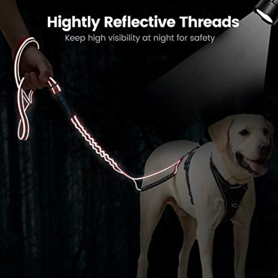 Correa para Perros Grandes de  - Heavy Duty Dog Leash Rope 6Ft Padded reseña y precio