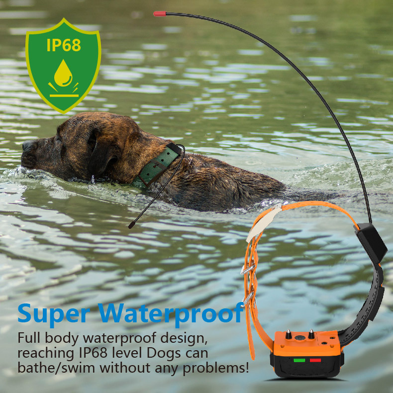 Collar GPS 4G para Perros con  - Hunting Dog Tracking Collar Gps Radio reseña y precio