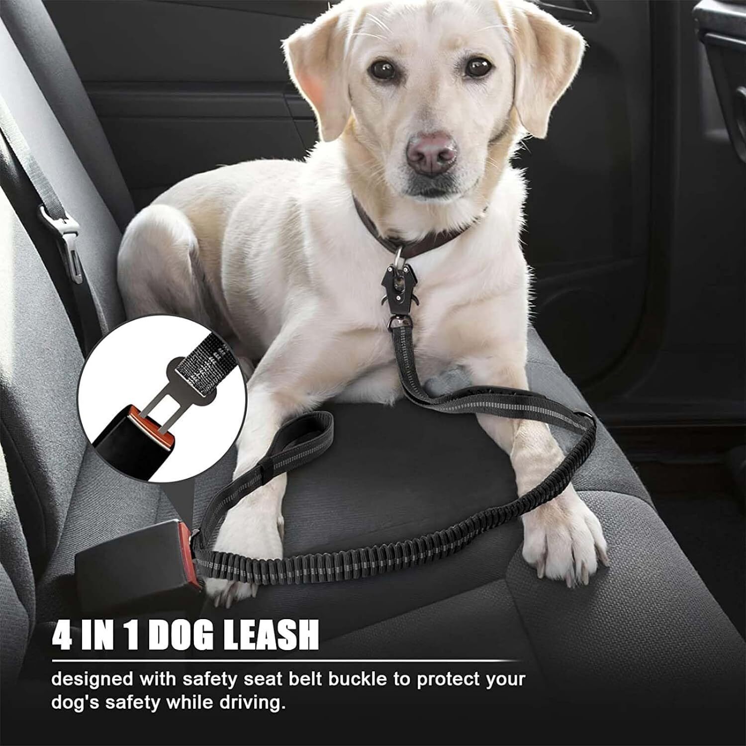 Correa Reflectante para Perros - Bungee Dog Leash Shock Absorbing reseña y precio