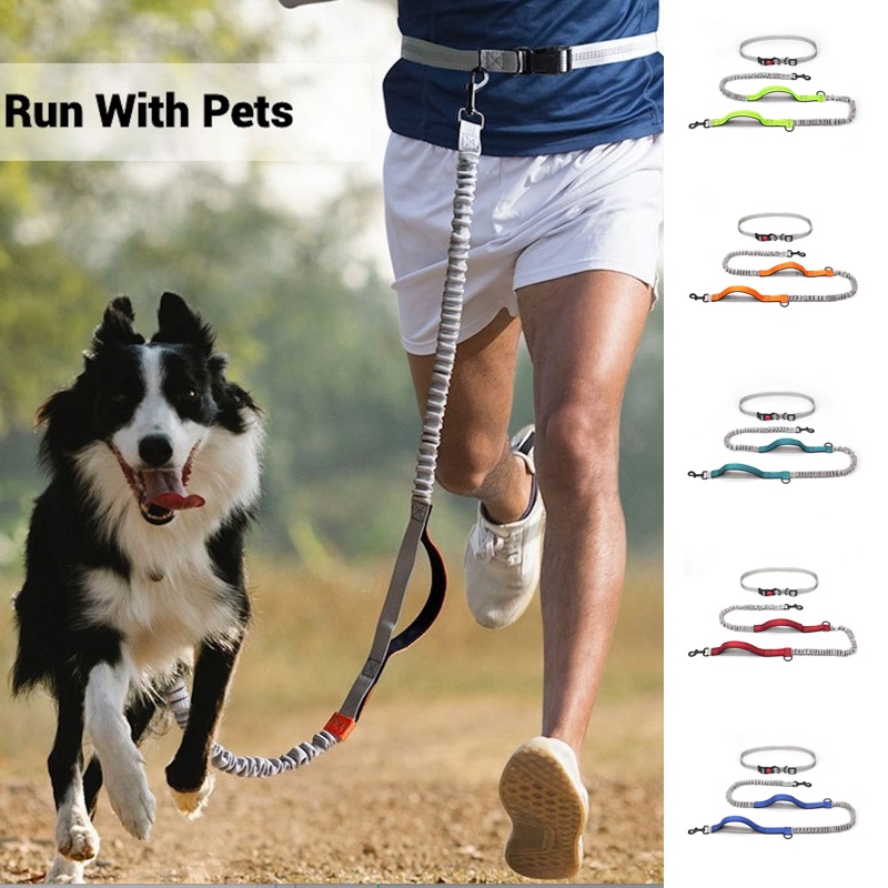 Correa Reflectante para Perros - Bungee Dog Leash Shock Absorbing reseña y precio