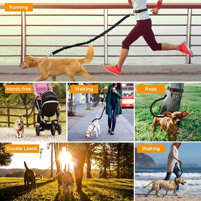 Correa Reflectante para Perros - Bungee Dog Leash Shock Absorbing reseña y precio