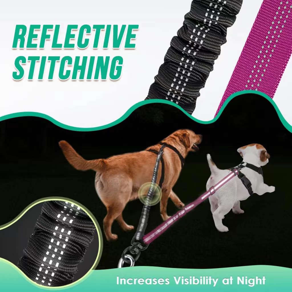 Correa Doble para Perros de 1. - Bungee Dog Leash Shock Absorbing reseña y precio