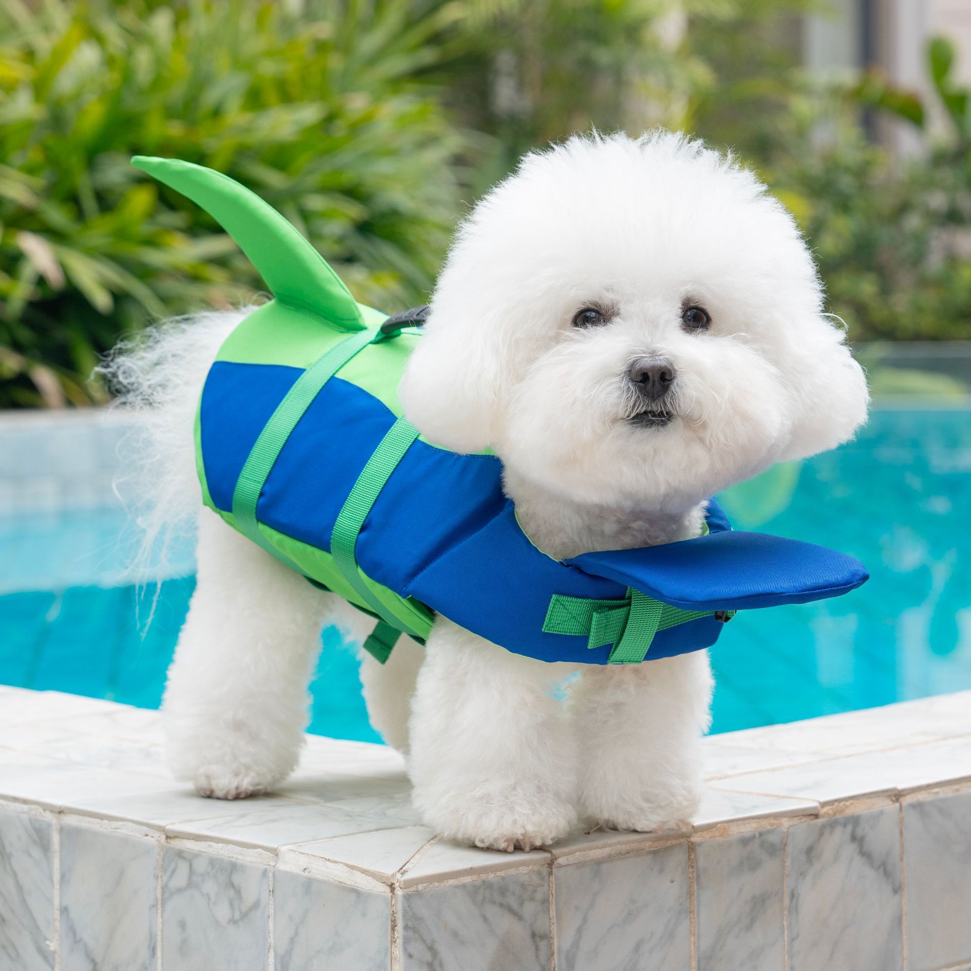 Chaleco Salvavidas para Perros - Dog Life Jacket Vest Buoyancy Handle reseña y precio