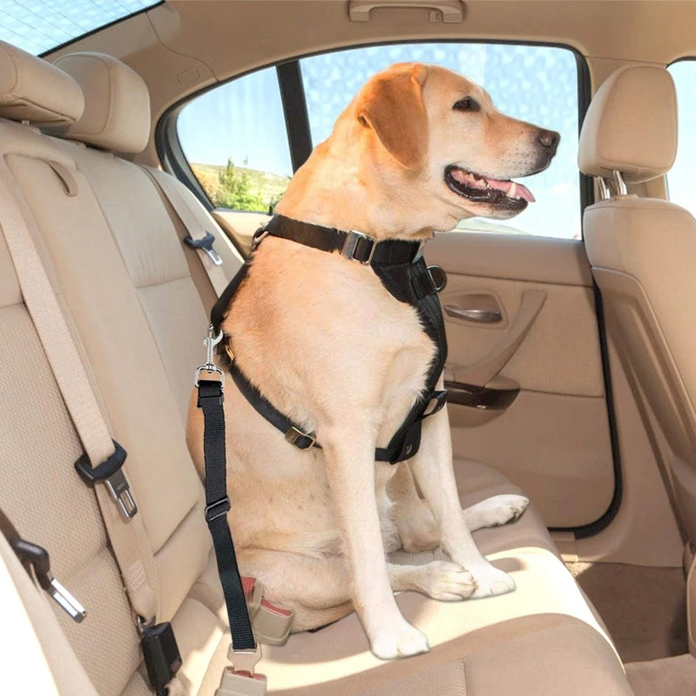 1 pieza de correa de seguridad - Dog Seat Belt Harness Safety Tether reseña y precio