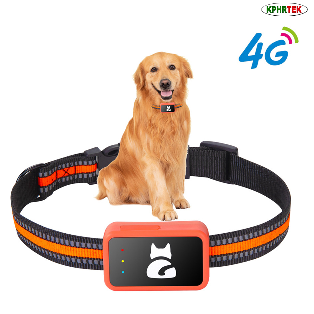 Rastreador GPS 4G G68P para Pe - Pet Activity Health Monitor Tracker reseña y precio