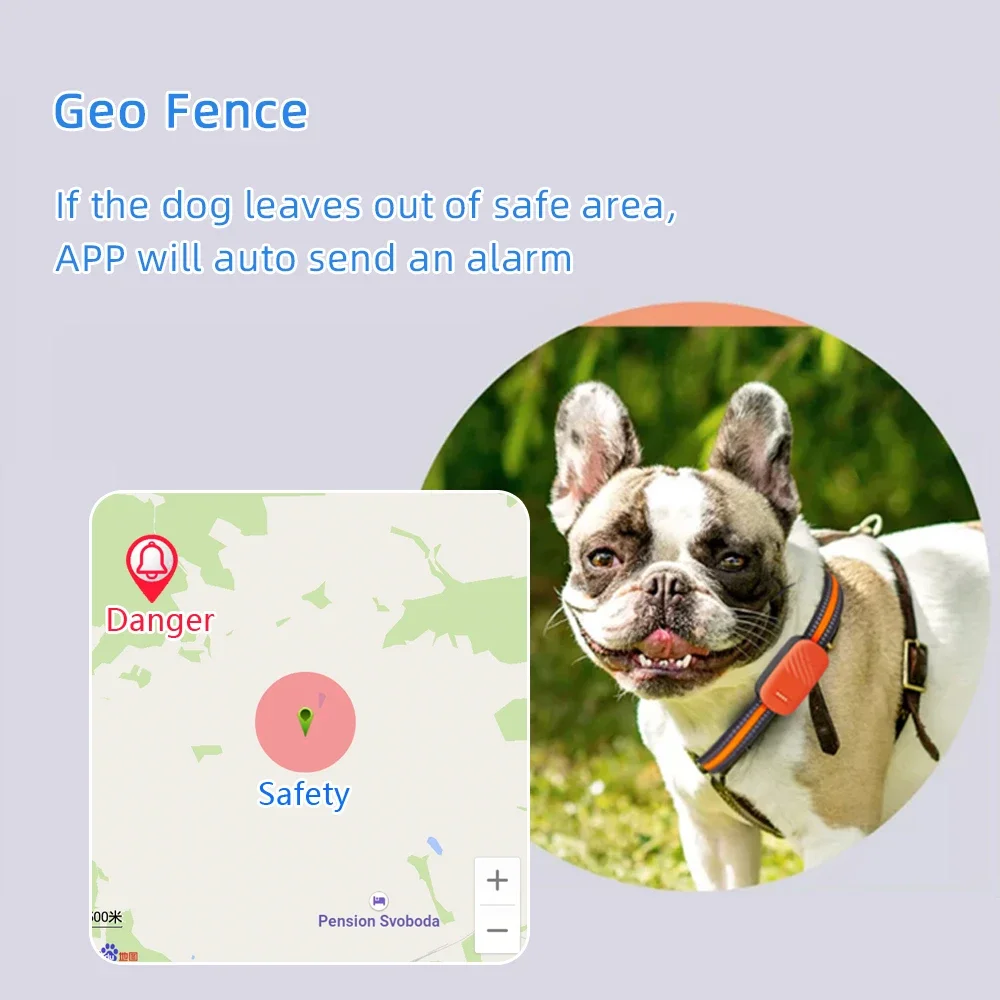 Collar GPS 4G para Mascotas, R - Dog Gps Tracker Collar 4G Waterproof reseña y precio