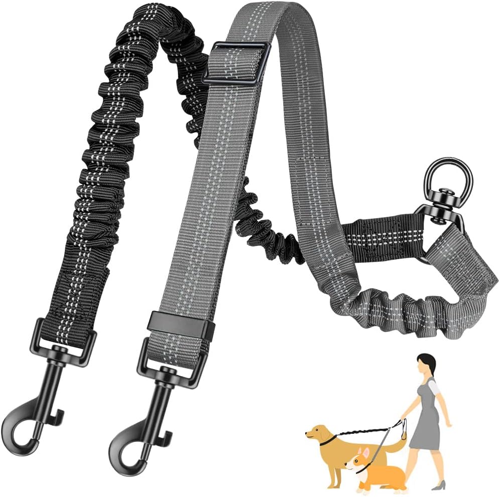 Correa doble para perros 2 en  - Bungee Dog Leash Shock Absorbing reseña y precio