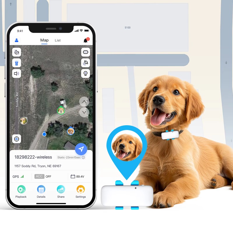Collar con Rastreador GPS Inte - Dog Gps Tracker Collar 4G Waterproof reseña y precio
