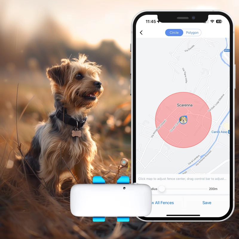Collar con Rastreador GPS Inte - Dog Gps Tracker Collar 4G Waterproof reseña y precio