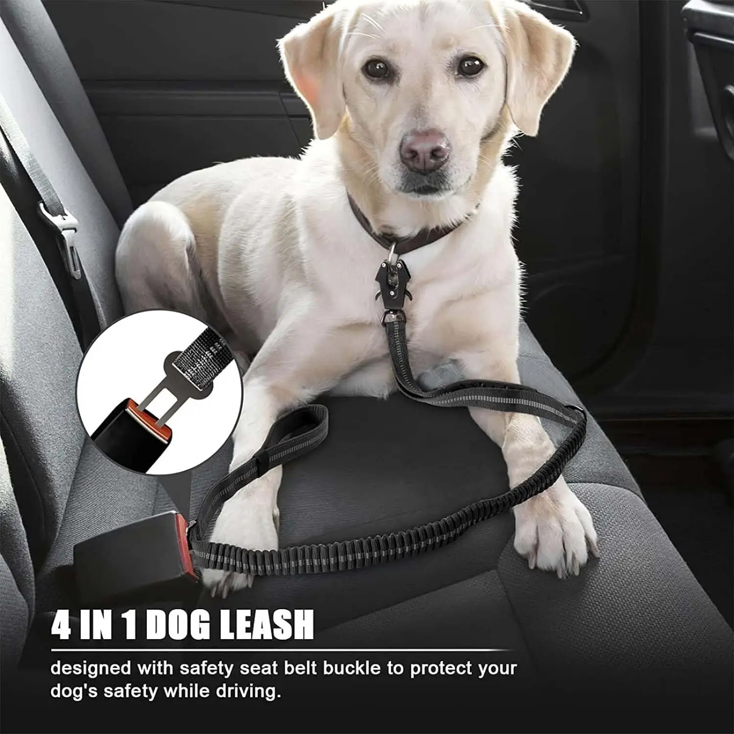Correas Reflectantes para Perr - Bungee Dog Leash Shock Absorbing reseña y precio