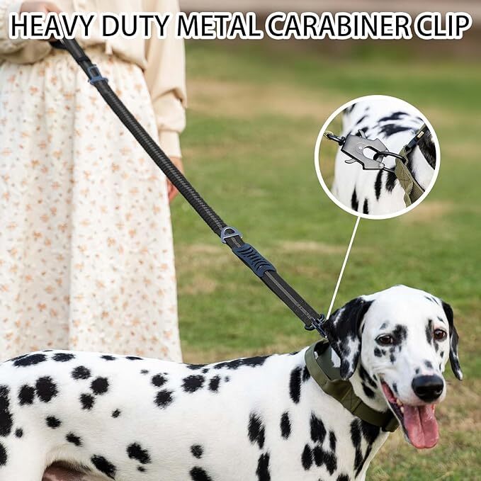 Correas Reflectantes para Perr - Bungee Dog Leash Shock Absorbing reseña y precio