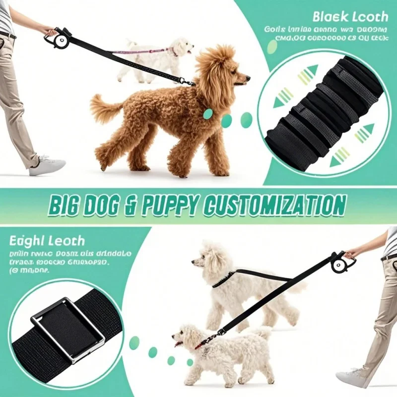 Correa doble para perros con s - Bungee Dog Leash Shock Absorbing reseña y precio