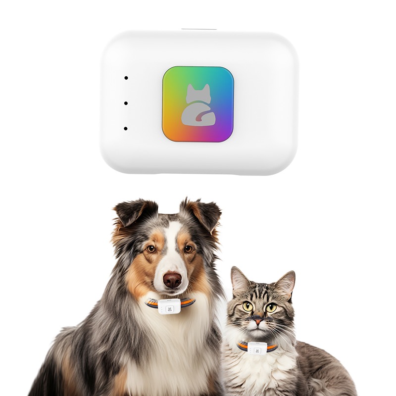 Rastreador GPS portátil con Fl - Dog Gps Tracker Collar 4G Waterproof reseña y precio
