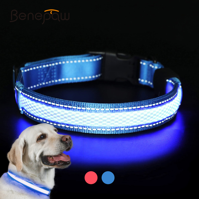 Benepaw-Collar de perro LED re - Led Dog Collar Glowing Rechargeable Usb reseña y precio