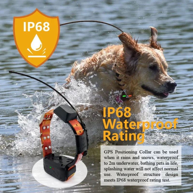 Collar GPS para Perros con Ras - Hunting Dog Tracking Collar Gps Radio reseña y precio