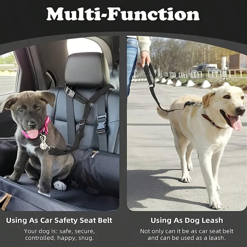 Cinturón de Seguridad para Per - Dog Seat Belt Harness Safety Tether reseña y precio
