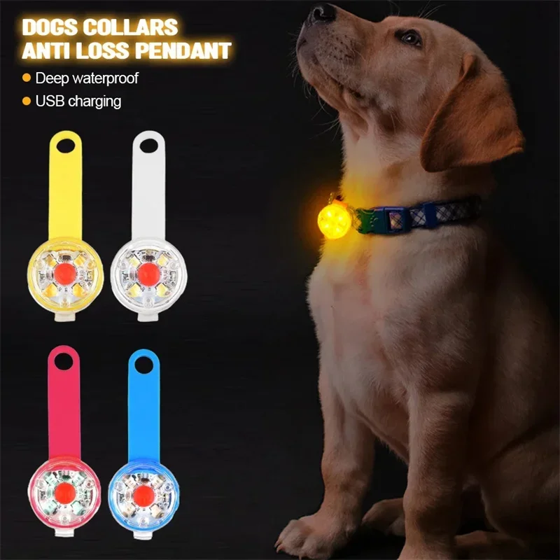 Collar LED para perro recargab - Led Dog Collar Glowing Rechargeable Usb reseña y precio