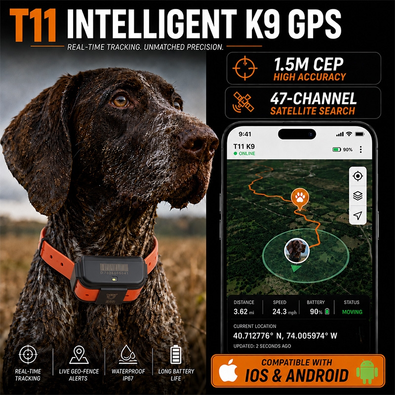Rastreador GPS 4G T11 para Per - Dog Gps Tracker Collar 4G Waterproof reseña y precio