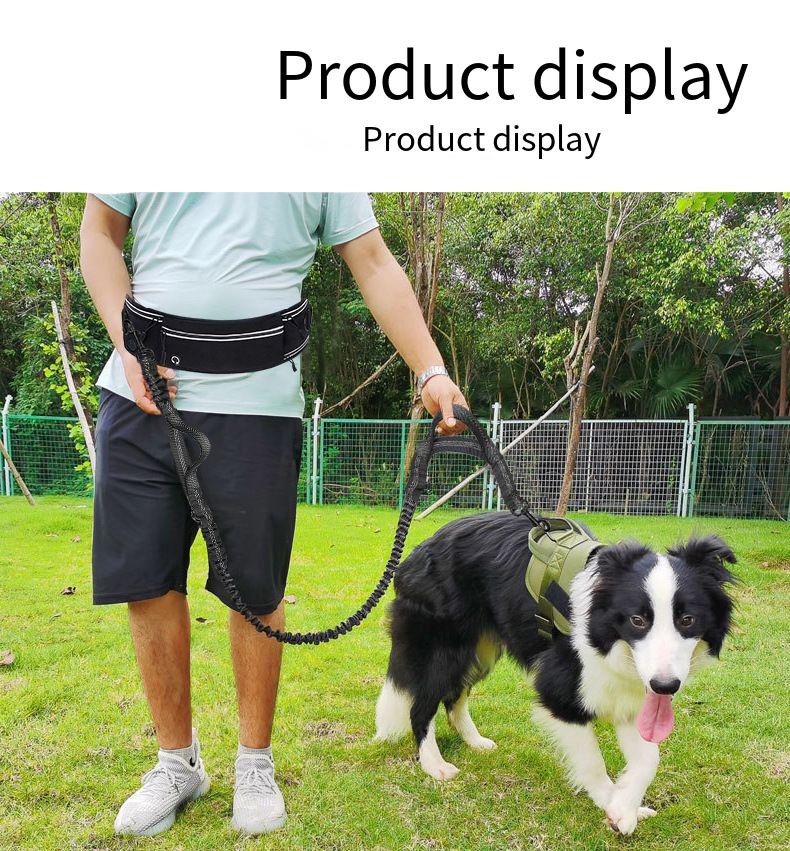 Correa de perro manos libres p - Hands Free Dog Running Leash Waist Belt reseña y precio
