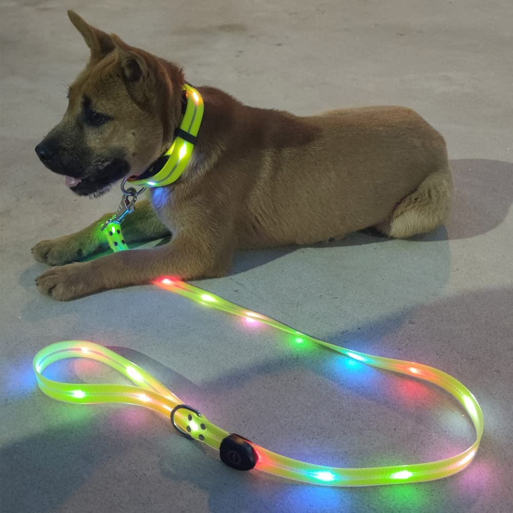 Correa con luz LED para perros - Led Dog Collar Glowing Rechargeable Usb reseña y precio