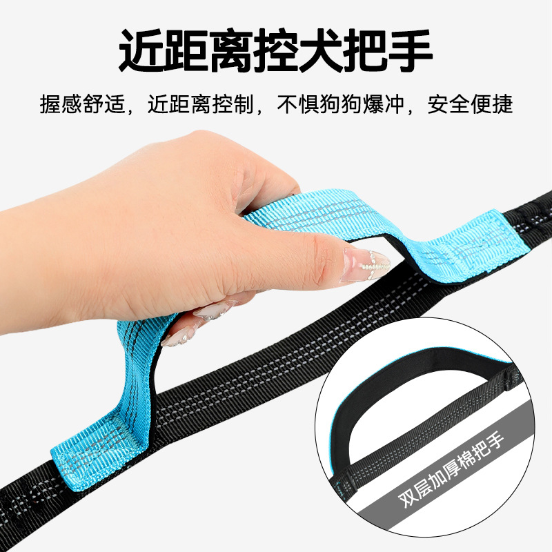 Correa de Correr para Perros c - Hands Free Dog Running Leash Waist Belt reseña y precio