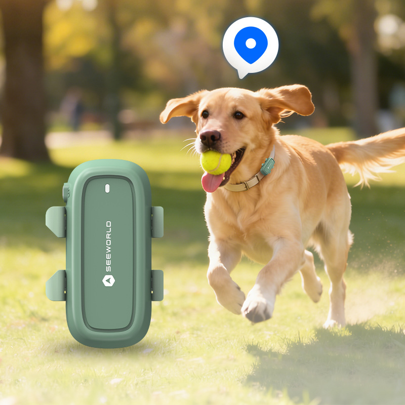 Collar GPS para Perros - Rastr - Dog Gps Tracker Collar 4G Waterproof reseña y precio